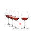 Copa Borgoña Hi-Lite SPIEGELAU | Set de 4 + 1 Copa de Regalo